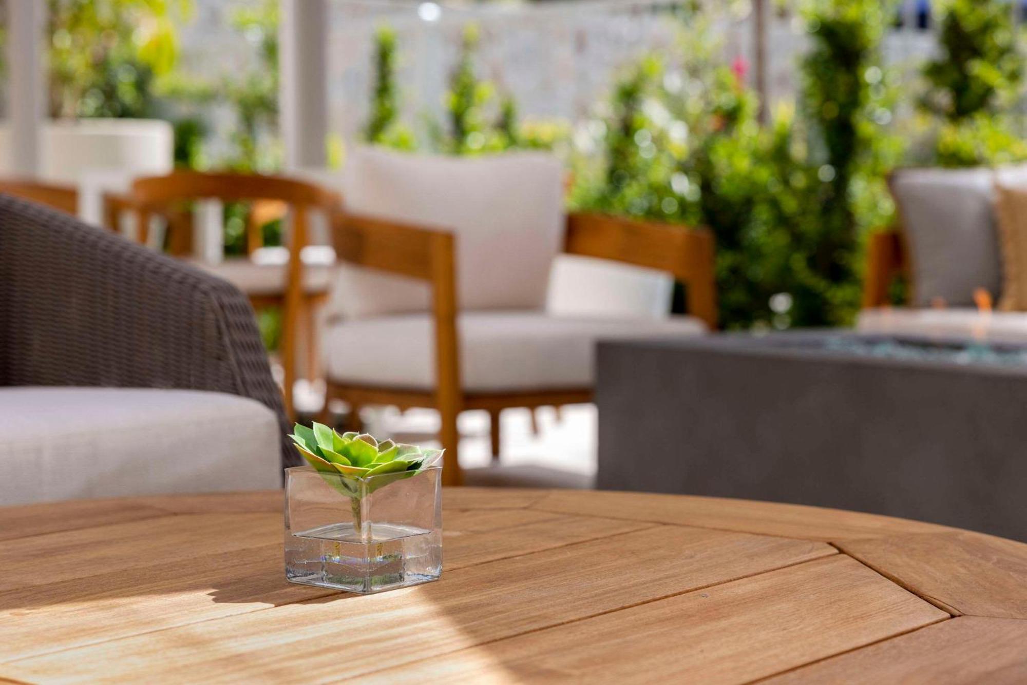 Cambria Hotel Calabasas - Malibu Екстер'єр фото